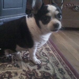 Meet your Posher, Nancy